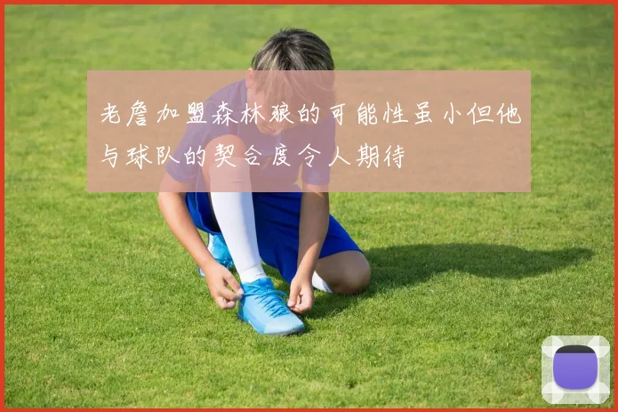 老詹加盟森林狼的可能性虽小但他与球队的契合度令人期待